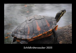 Cover-Bild zum Titel 'Schildkrötenzauber 2025 Fotokalender DIN A3' von 'Tobias Becker'