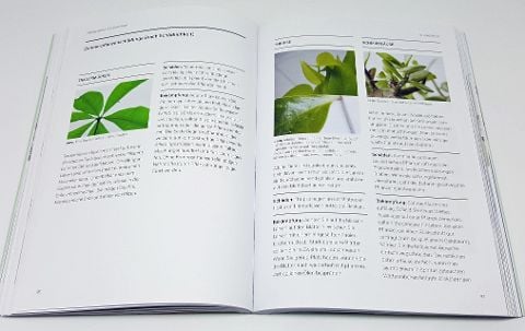 InsideView 8