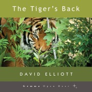 Cover-Bild zum Titel 'The Tiger's Back' von 'David Elliott'