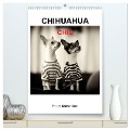 CHIHUAHUA CHIC Photos Marion Koell (hochwertiger Premium Wandkalender 2025 DIN A2 hoch), Kunstdruck in Hochglanz - Marion Koell