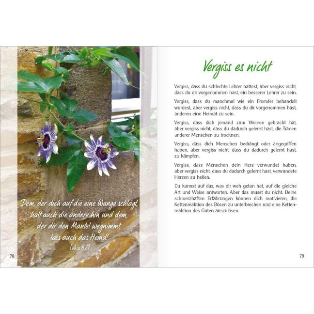 InsideView 5