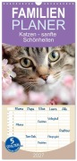 Cover-Bild zum Titel 'Familienplaner 2027 - Katzen - sanfte Schönheiten mit 5 Spalten (Wandkalender, 21 x 45 cm) CALVENDO' von 'Daniela Bertschi'
