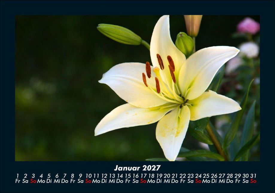 InsideView 5