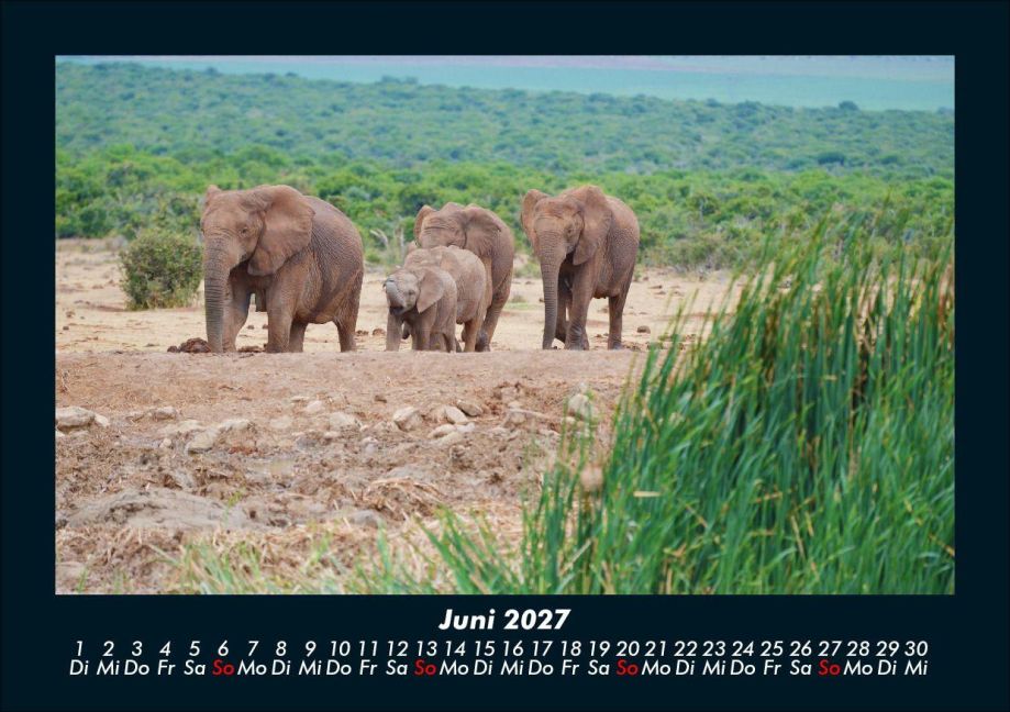 InsideView 10