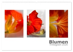 Cover-Bild zum Titel 'Blumen Trilogien (Wandkalender 2026 DIN A2 quer), CALVENDO Monatskalender' von 'Christiane Calmbacher'