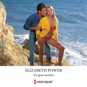 Cover-Bild zum Titel 'Un gran secreto' von 'Elizabeth Power'