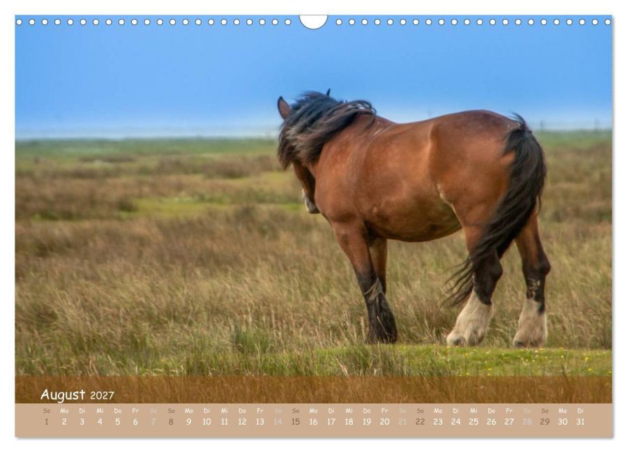 InsideView 13