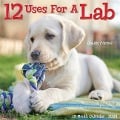 12 Uses for a Lab 2024 12 X 12 Wall Calendar - Willow Creek Press