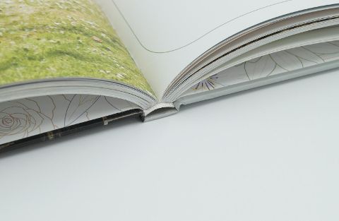 InsideView 3
