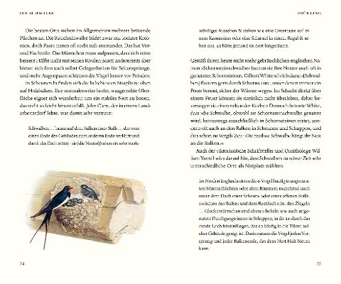 InsideView 4
