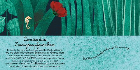 InsideView 12