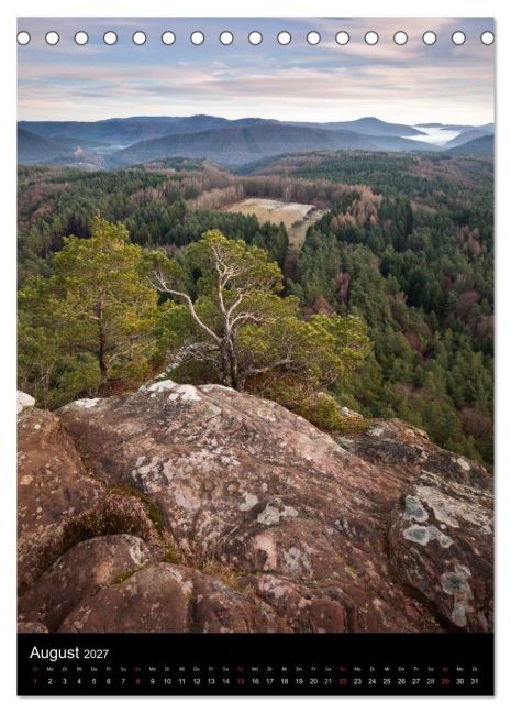 InsideView 13