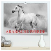 Cover-Bild zum Titel 'Arabische Pferde (hochwertiger Premium Wandkalender 2026 DIN A2 quer), Kunstdruck in Hochglanz' von 'Elisabeth Stanzer'