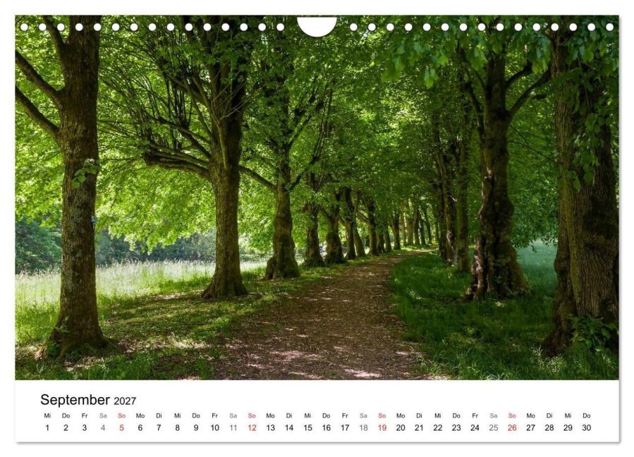 InsideView 14