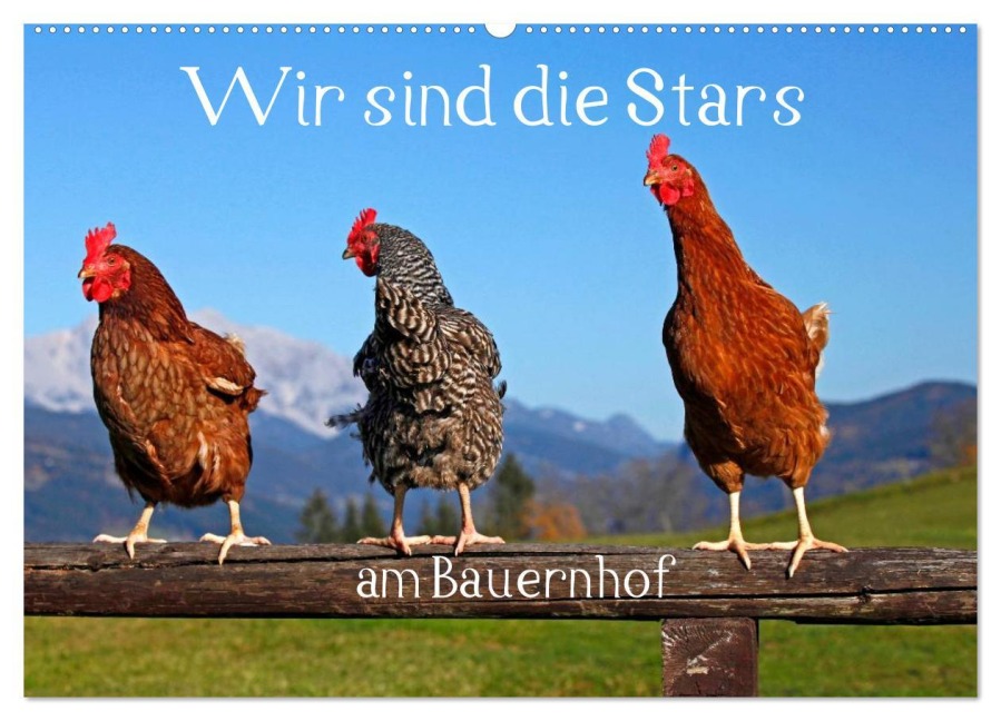 Wir sind die Stars am Bauernhof (Wandkalender 2026 DIN A2 quer), CALVENDO Monatskalender - Christa Kramer