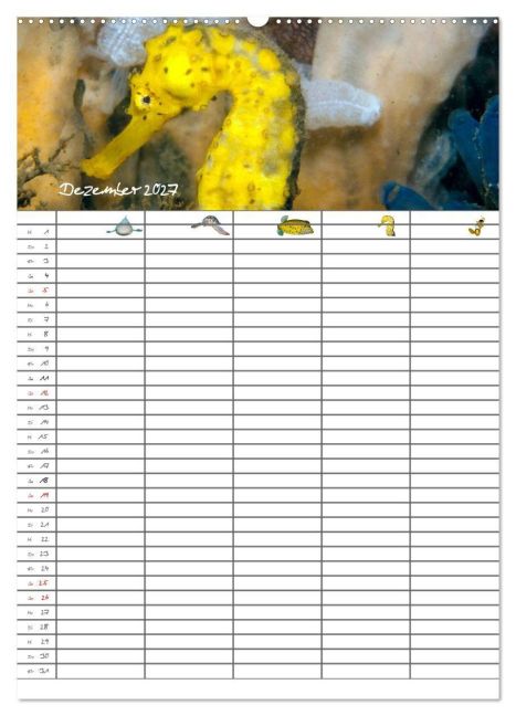 InsideView 4