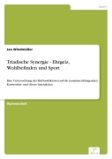 Cover-Bild zum Titel 'Triadische Synergie - Ehrgeiz, Wohlbefinden und Sport' von 'Jan Windmüller'