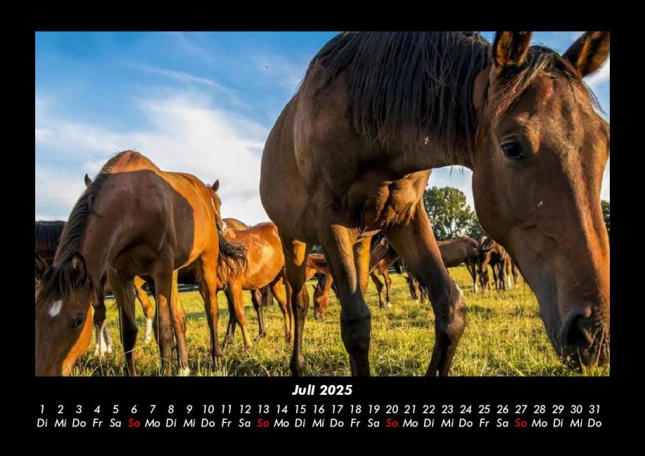 InsideView 11