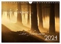 Im Lichtglanz der Jahreszeiten (Wandkalender 2024 DIN A4 quer), CALVENDO Monatskalender - Jochen Burger