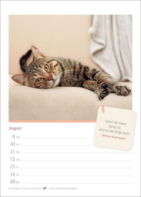 InsideView 12