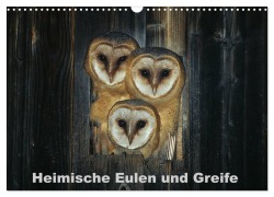 Cover-Bild zum Titel 'Heimische Eulen und Greife (Wandkalender 2026 DIN A3 quer), CALVENDO Monatskalender' von 'Günter Bachmeier'