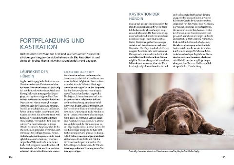 InsideView 3