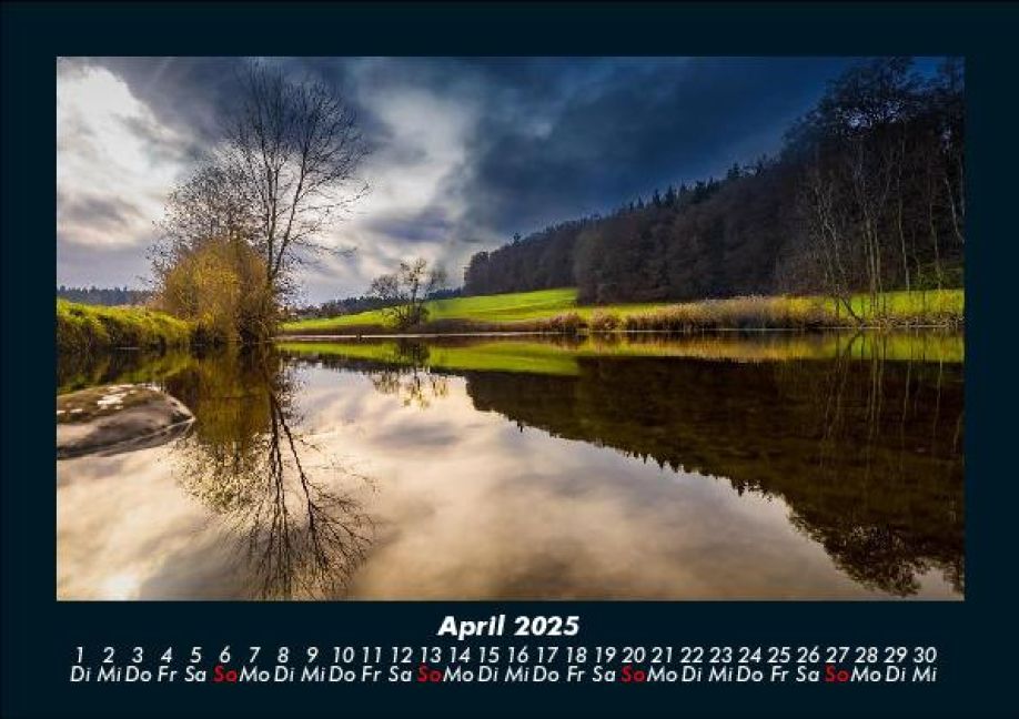 InsideView 8