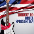 Bruce Springsteen,Tribute To - Various