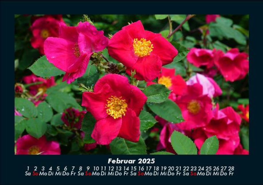 InsideView 6