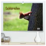 Eichhörnchen (hochwertiger Premium Wandkalender 2026 DIN A2 quer), Kunstdruck in Hochglanz - SchnelleWelten SchnelleWelten
