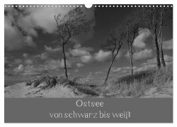 Cover-Bild zum Titel 'Ostsee - von schwarz bis weiß (Wandkalender 2026 DIN A3 quer), CALVENDO Monatskalender' von 'Uwe Becker'
