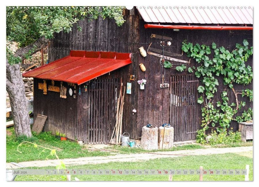 InsideView 11