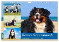 Berner Sennenhunde - Traumhunde mit Charme (Wandkalender 2024 DIN A4 quer), CALVENDO Monatskalender - Jana K. Fotografie