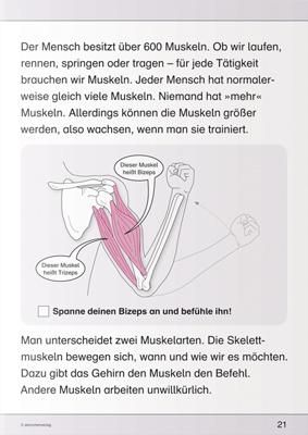 InsideView 4