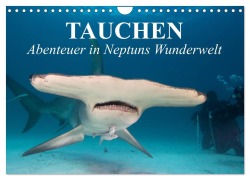 Cover-Bild zum Titel 'Tauchen - Abenteuer in Neptuns Wunderwelt (Wandkalender 2026 DIN A4 quer), CALVENDO Monatskalender' von 'Elisabeth Stanzer'