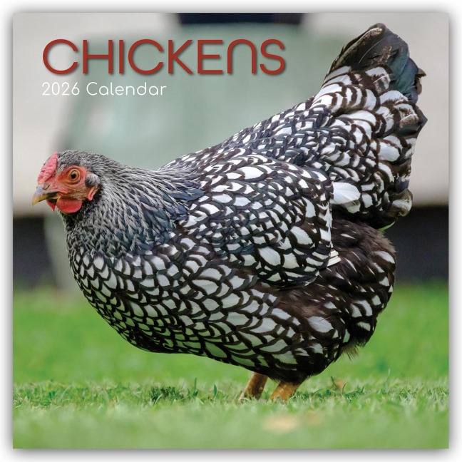 Chickens - Hühner 2026 - 16-Monatskalender - Gifted Stationery Co. Ltd