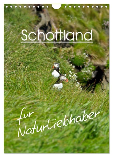 Schottland für Naturliebhaber (Wandkalender 2026 DIN A4 hoch), CALVENDO Monatskalender - Anja Schäfer