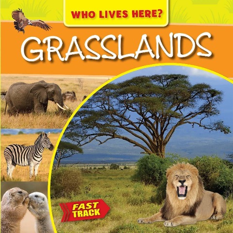 Grasslands - Mary-Jane Wilkins