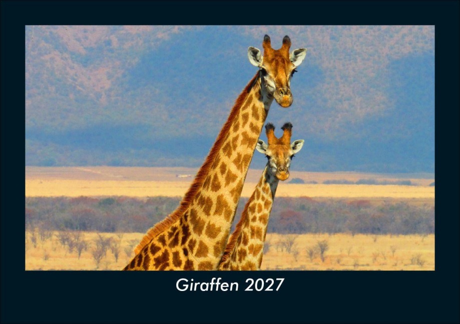 Giraffen 2027 Fotokalender DIN A5 - Tobias Schmitt, Kevin Heber