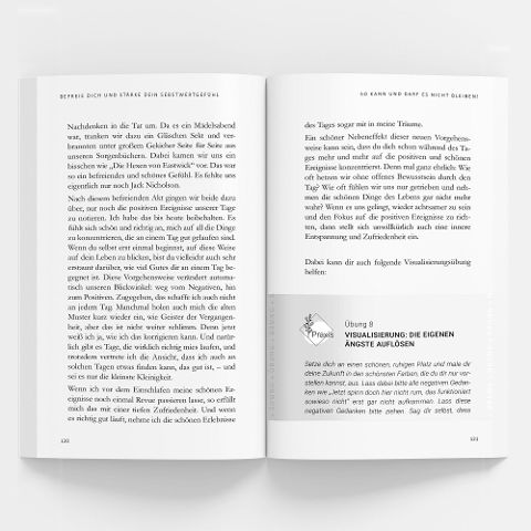 InsideView 4