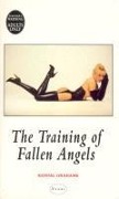 Cover-Bild zum Titel 'The Training Of Fallen Angels' von 'Kendal Grahame'