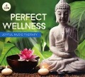 Cover-Bild zum Titel 'Perfect Wellness-Joyful Music Therapy' von 'Various'