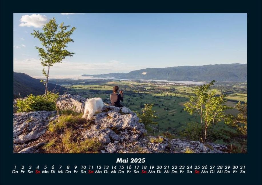 InsideView 9