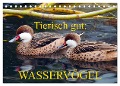 Tierisch gut: Wasservögel (Tischkalender 2024 DIN A5 quer), CALVENDO Monatskalender - Gisela Kruse