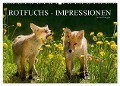 Rotfuchs - Impressionen (Wandkalender 2025 DIN A2 quer), CALVENDO Monatskalender - Susanne Danegger