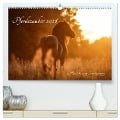Pferdezauber 2024 (hochwertiger Premium Wandkalender 2024 DIN A2 quer), Kunstdruck in Hochglanz - Max Kauer Photography