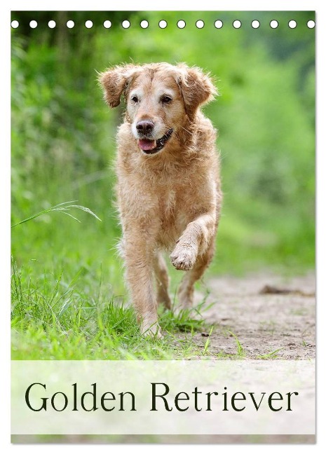 Golden Retriever (Tischkalender 2025 DIN A5 hoch), CALVENDO Monatskalender - Nicole Noack