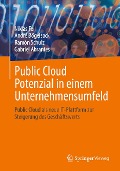 Cover-Bild zum Titel 'Public Cloud Potenzial in einem Unternehmensumfeld' von 'Niklas Feil, André Bögelsack, Ramón Schulz, Gabriel Abrantes'