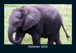 Cover-Bild zum Titel 'Elefanten 2025 Fotokalender DIN A5' von 'Tobias Becker'