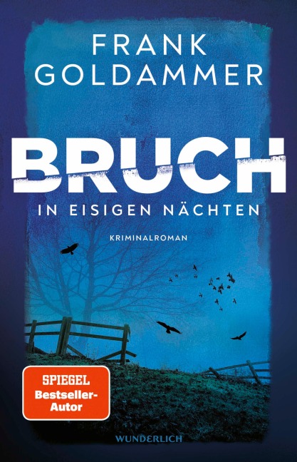 Bruch: In eisigen Nächten - Frank Goldammer